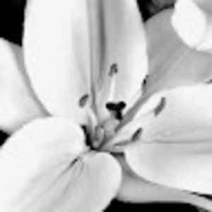 Meet your Posher, Sreevani